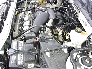 2005 FORD ESCAPE XLT