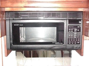 2001 MONACO DIPLOMAT LE 40PBD