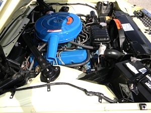 1966 FORD THUNDERBIRD